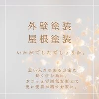 画像246