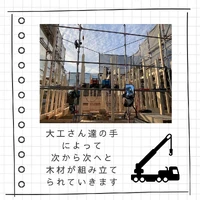 画像294