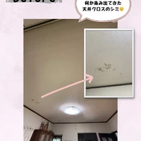 画像497