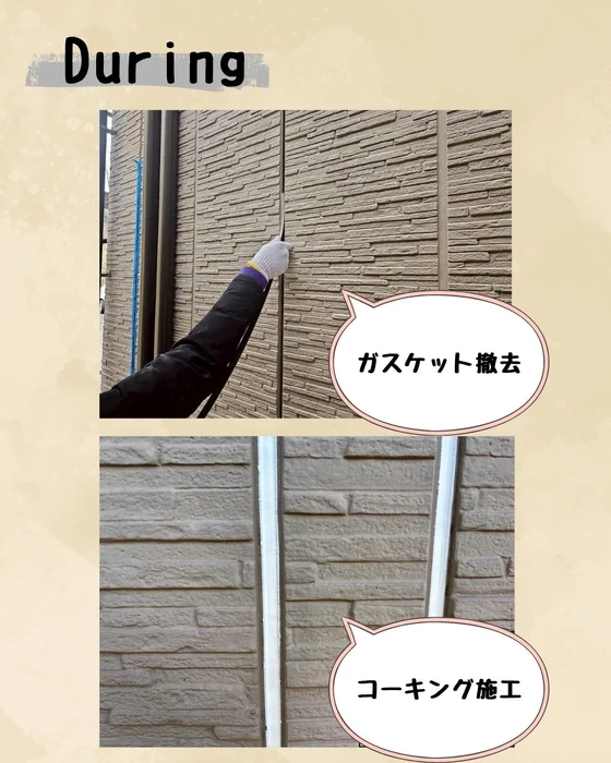 画像534