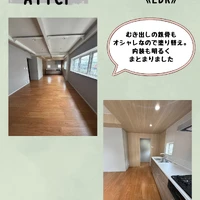 画像558